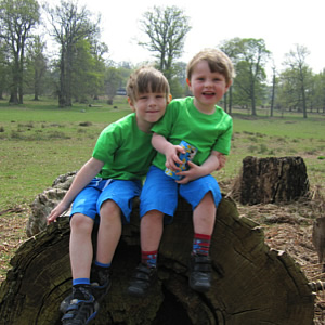 Brothers sitting on a log